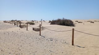 GC-Playa del Ingles 2026-096.jpg
